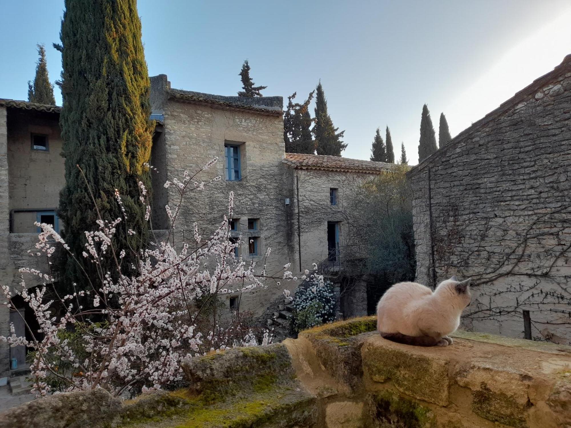 Le Mas Du Lac Uzès Exteriér fotografie