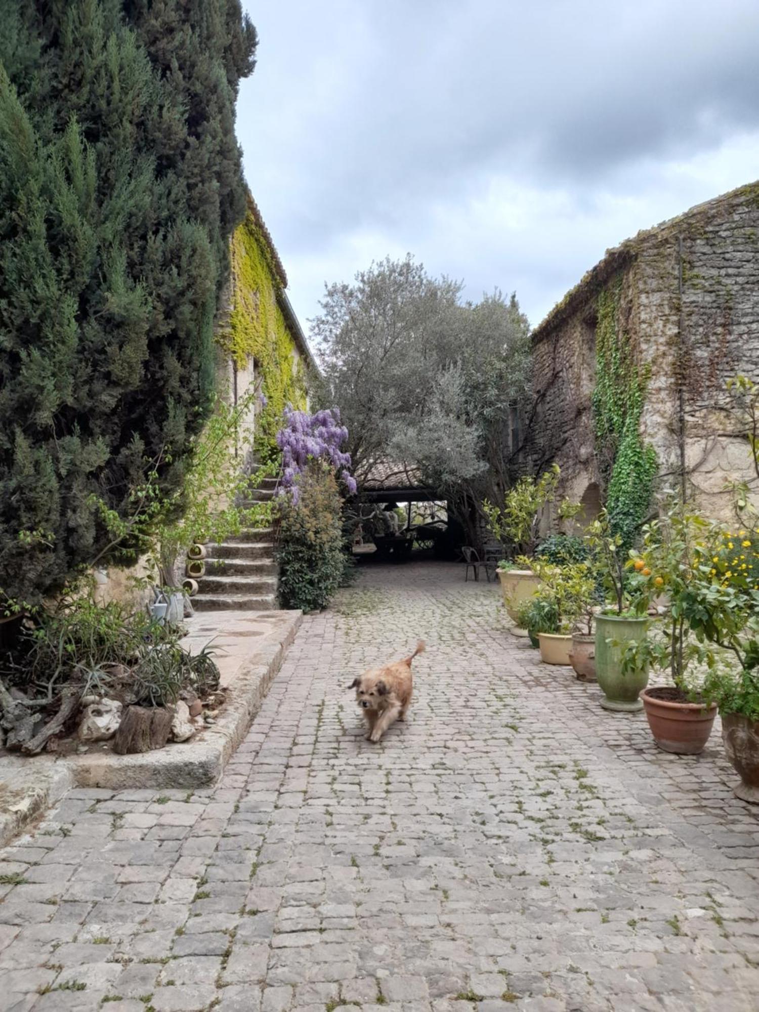 Le Mas Du Lac Uzès Exteriér fotografie