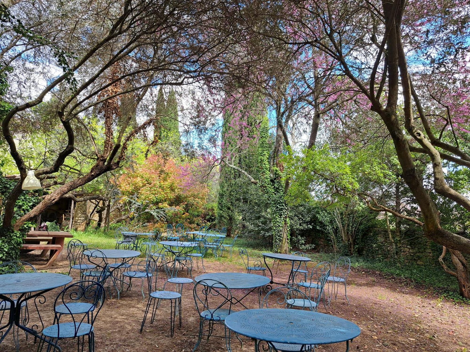 Le Mas Du Lac Uzès Exteriér fotografie